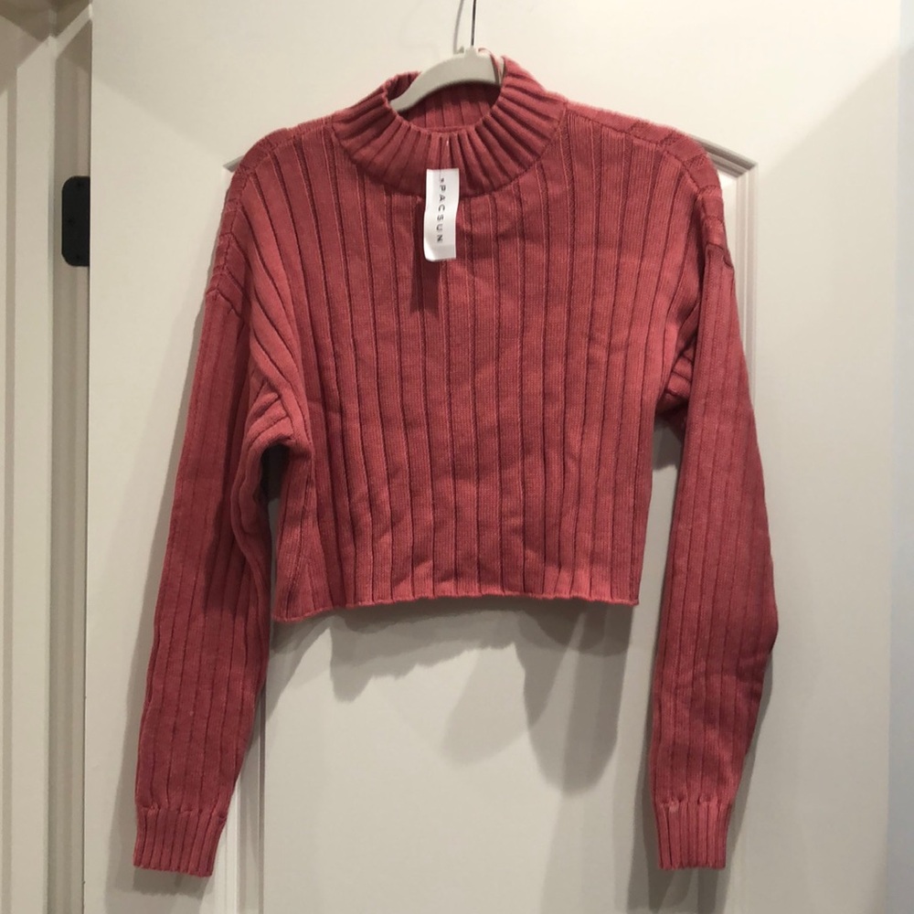 PacSun cropped mauve mock neck sweater.
